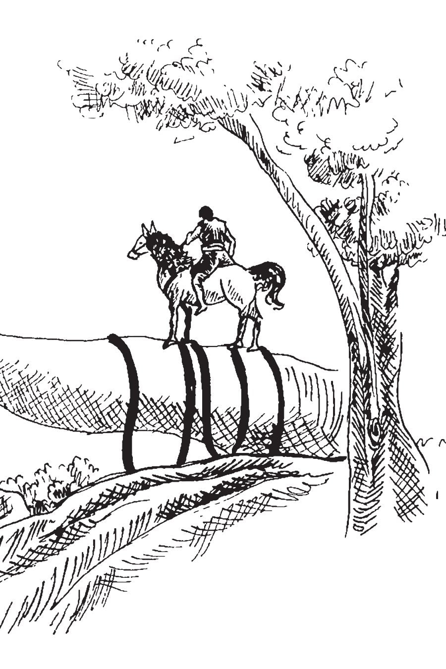Robinhood & Little John By Howard Pyle